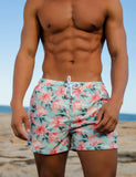 Ouzey 2024 Beach Shorts 221301