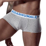 Ouzey Free Shipping Cotton Boxer Man's Underwear men Low waist Men's Underpants Boxershorts Men Lingeries Penis BS3104