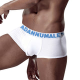 Ouzey Free Shipping Cotton Boxer Man's Underwear men Low waist Men's Underpants Boxershorts Men Lingeries Penis BS3104