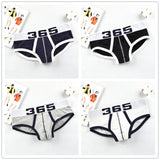 Ouzey 2024 Hot Sale Men Underwear  Men Briefs Mesh Breathable Comfortable Underpants U Pouch Male Panties Cueca Tanga Slip Homme