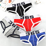 Ouzey 2024 Hot Sale Men Underwear  Men Briefs Mesh Breathable Comfortable Underpants U Pouch Male Panties Cueca Tanga Slip Homme